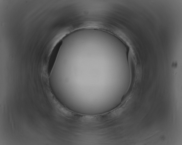 X0000094061481200710190921