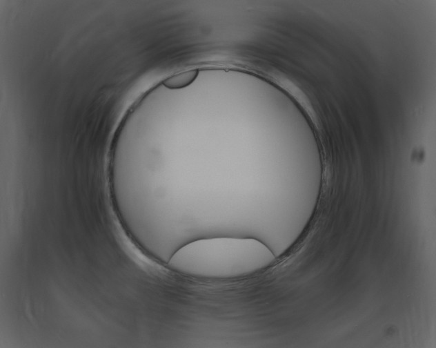 X0000094061482200710190921