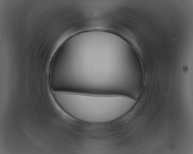 X0000094061483200710190921