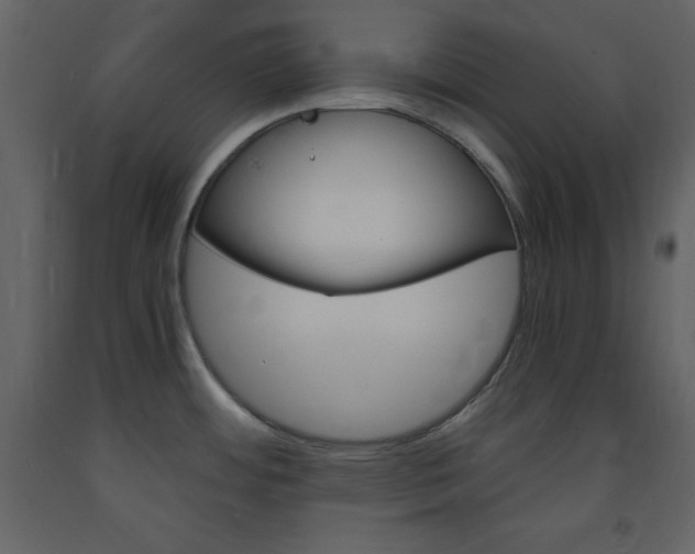X0000094061484200710190921