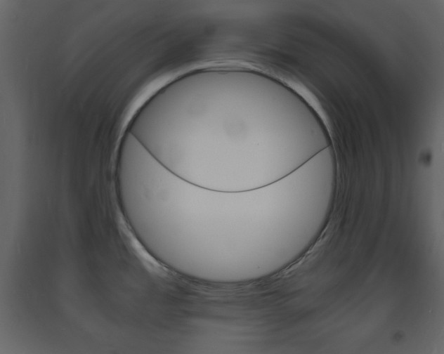 X0000094061485200710190921