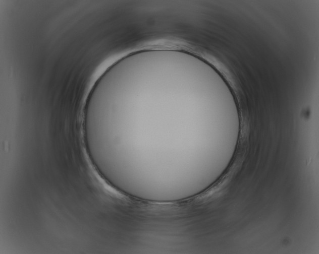 X0000094061486200710190921