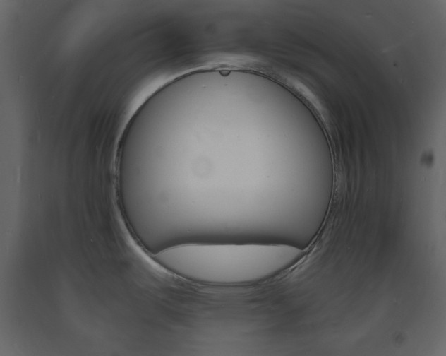 X0000094061487200710190921