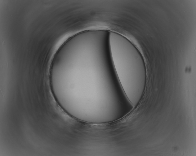 X0000094061488200710190921
