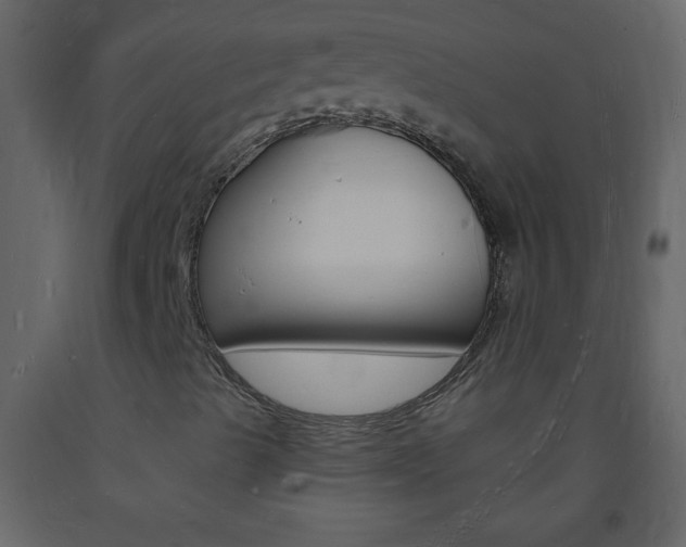 X0000094061489200710190920