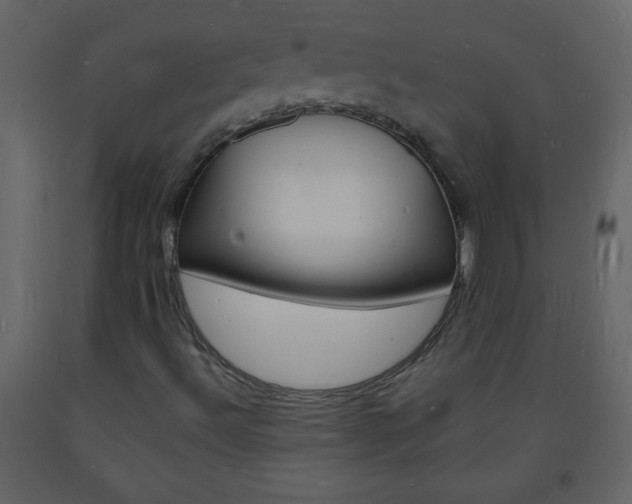 X0000094061492200710190920