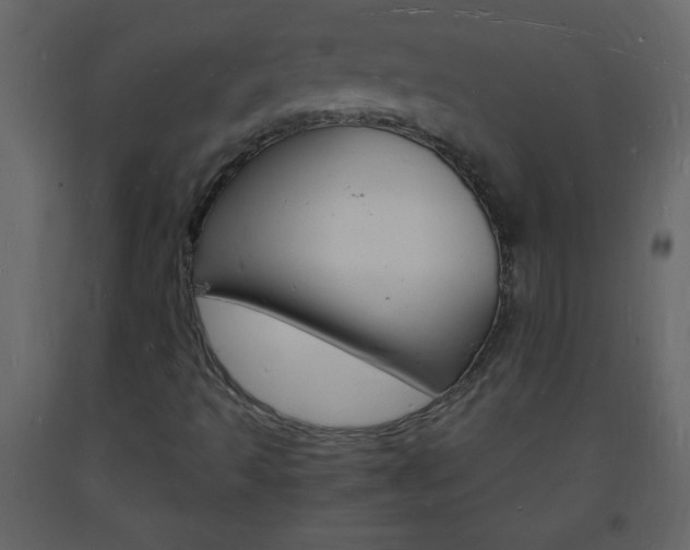 X0000094061493200710190920