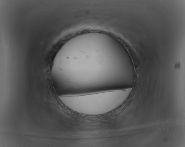 X0000094061495200710190920