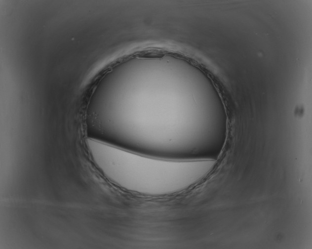 X0000094061496200710190920