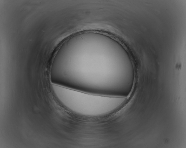 X0000094061497200710190920