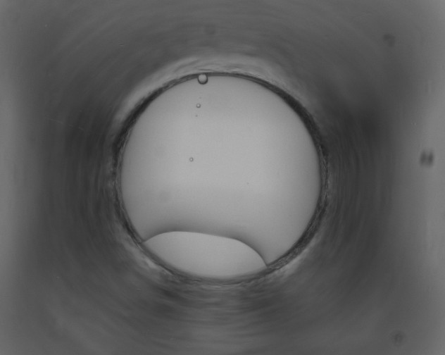 X0000094061498200710190920