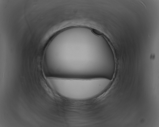 X0000094061499200710190920