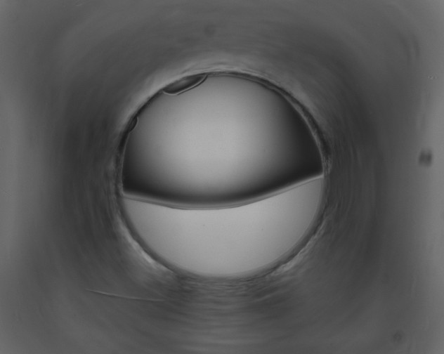 X0000094061500200710190920