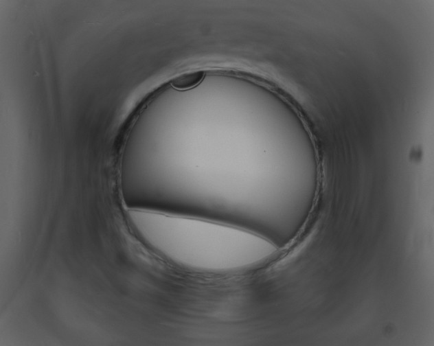 X0000094061501200710190920