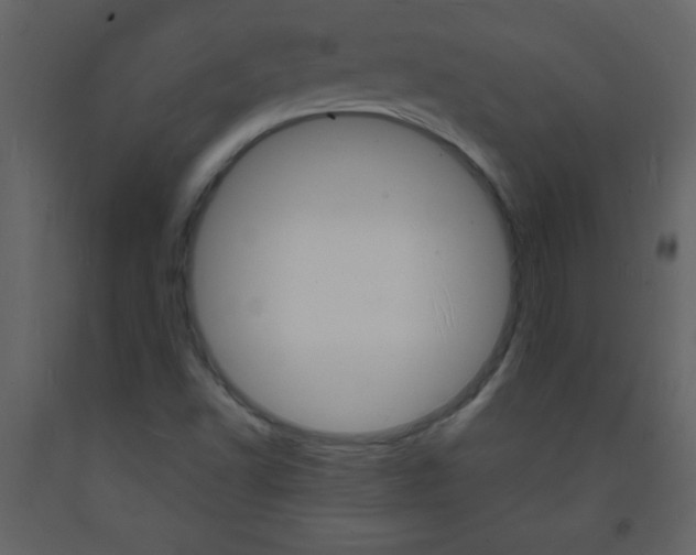 X0000094061502200710190920