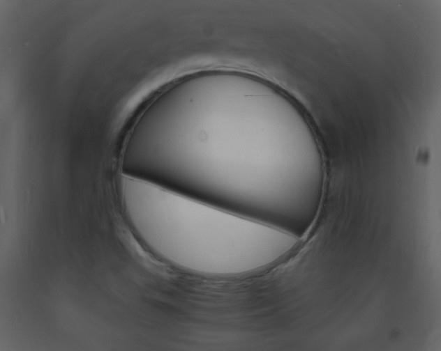 X0000094061503200710190920