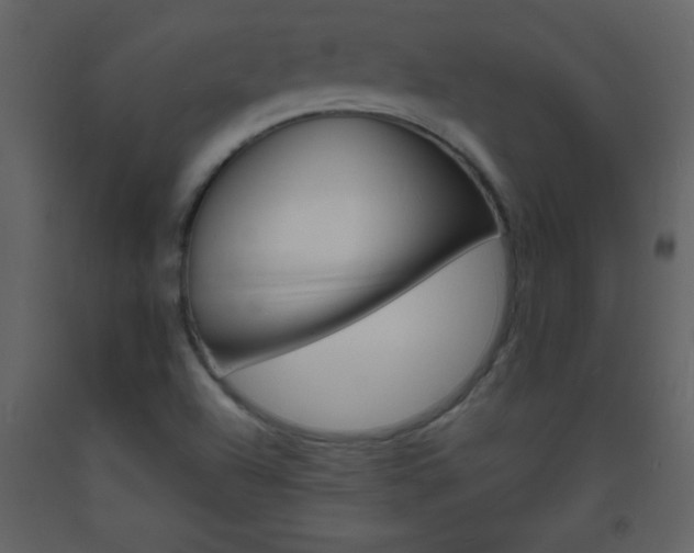 X0000094061504200710190920