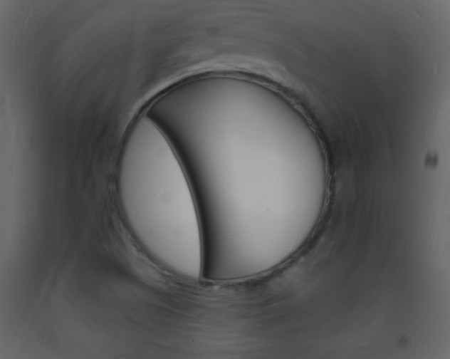 X0000094061505200710190920