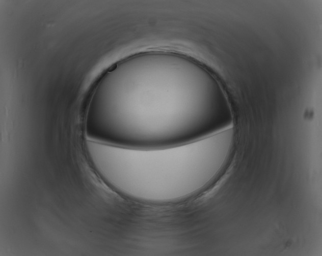X0000094061506200710190920