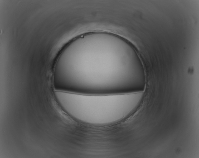 X0000094061507200710190920