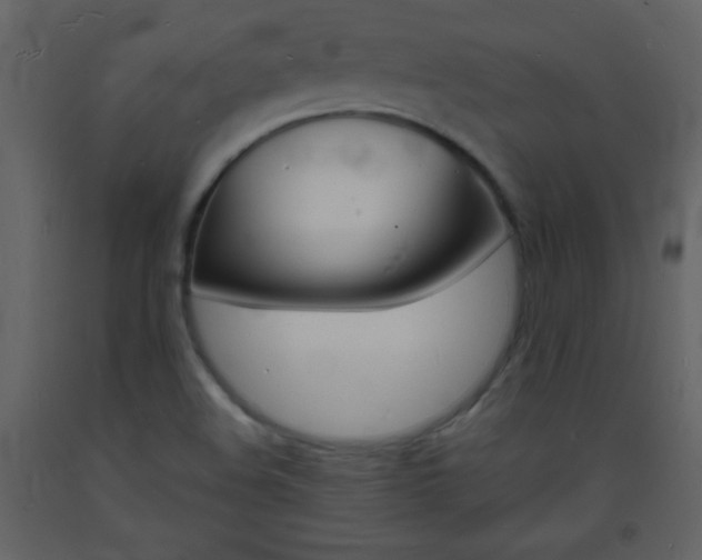 X0000094061508200710190920