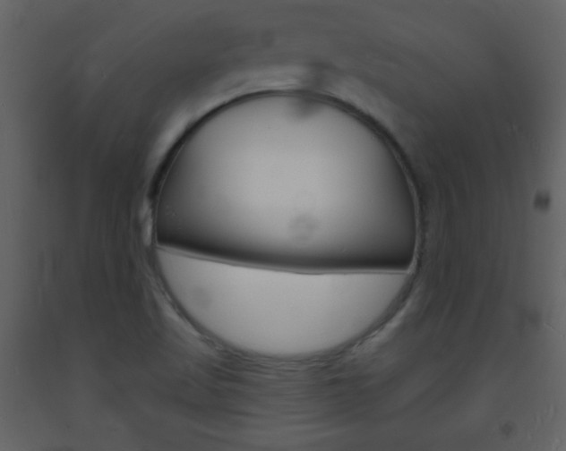 X0000094061509200710190920