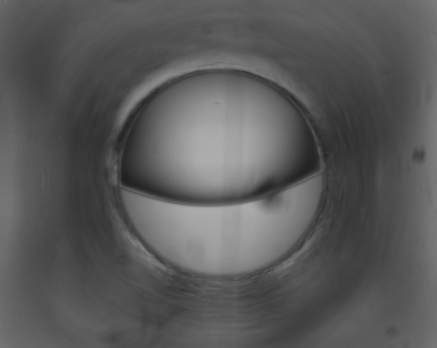 X0000094061510200710190920