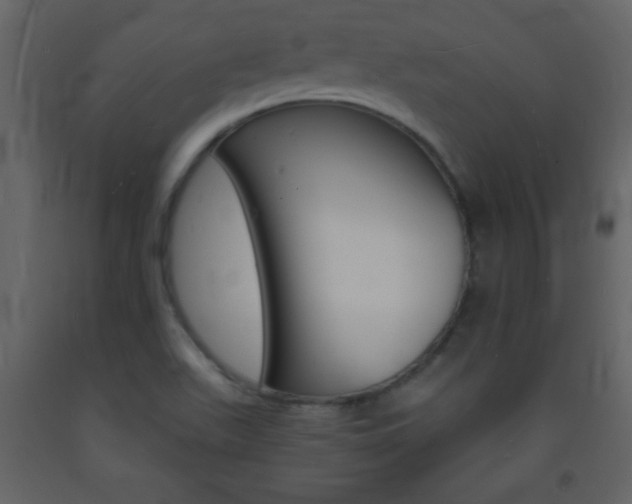 X0000094061511200710190920