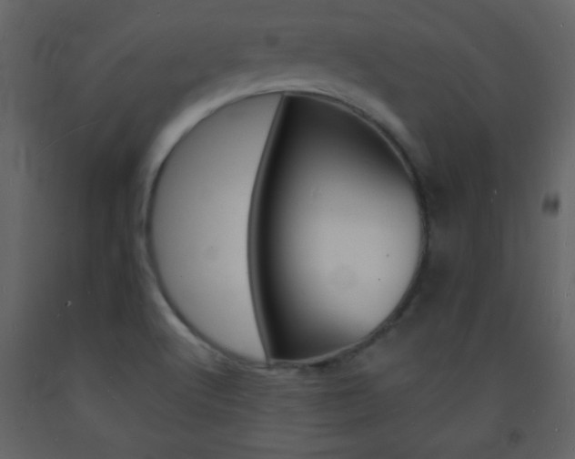 X0000094061512200710190920