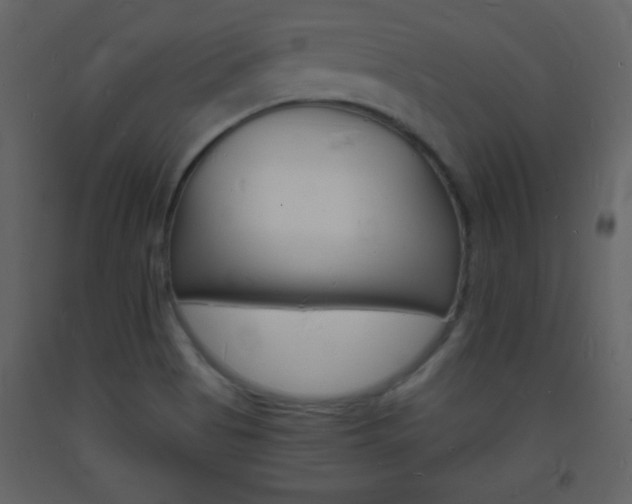 X0000094061513200710190920