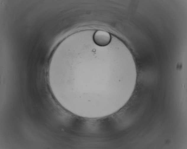X0000094061514200710190920