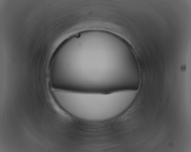 X0000094061515200710190920
