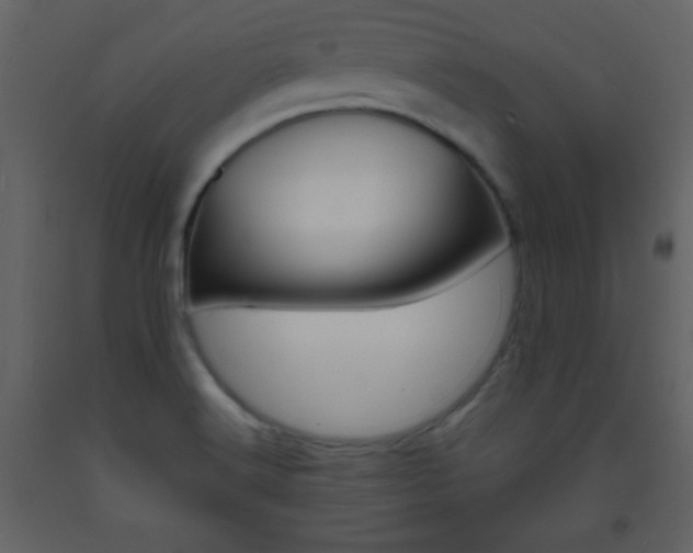 X0000094061516200710190920
