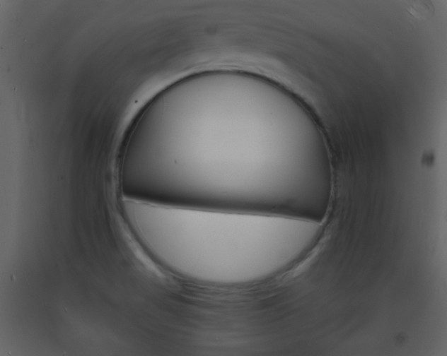 X0000094061517200710190920
