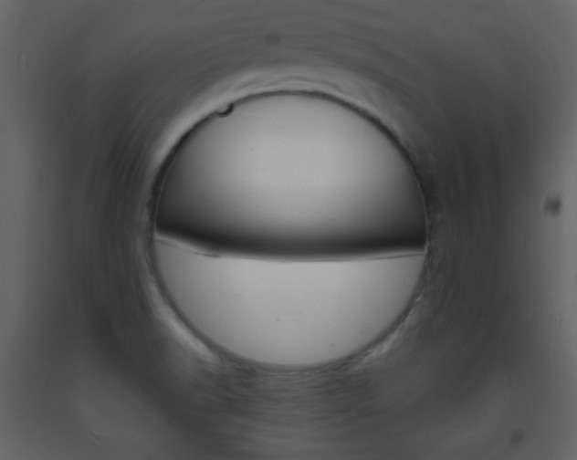 X0000094061518200710190920