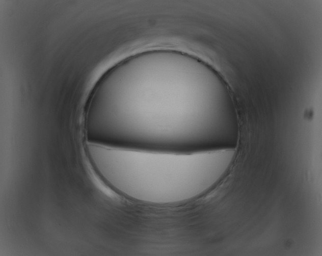 X0000094061519200710190920