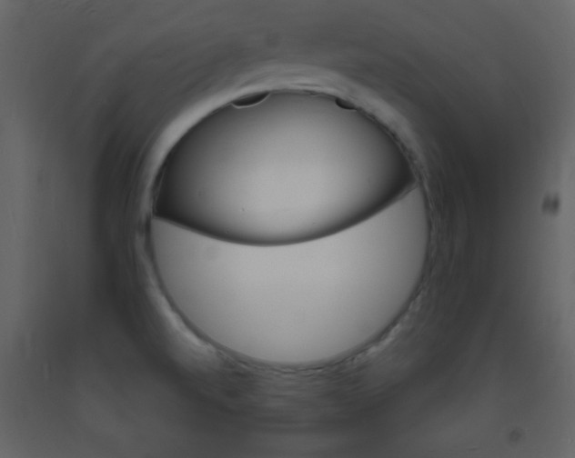 X0000094061520200710190920