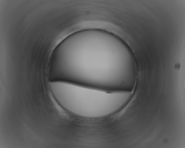 X0000094061521200710190920