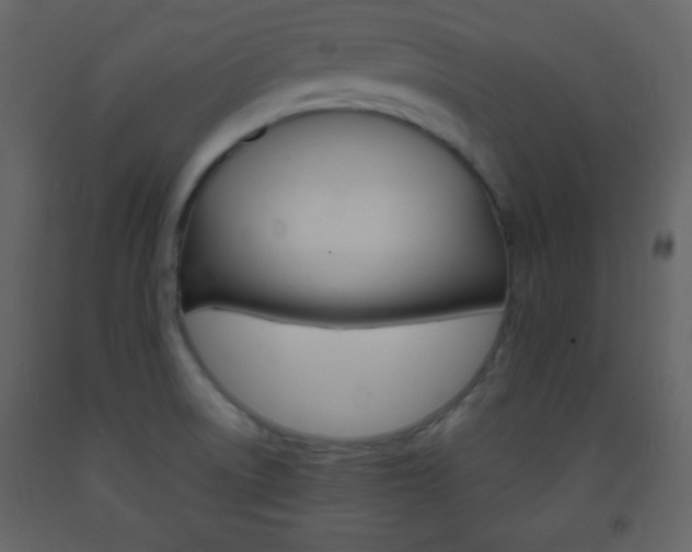 X0000094061522200710190920