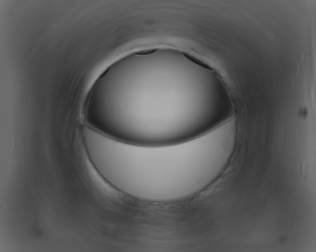 X0000094061524200710190920