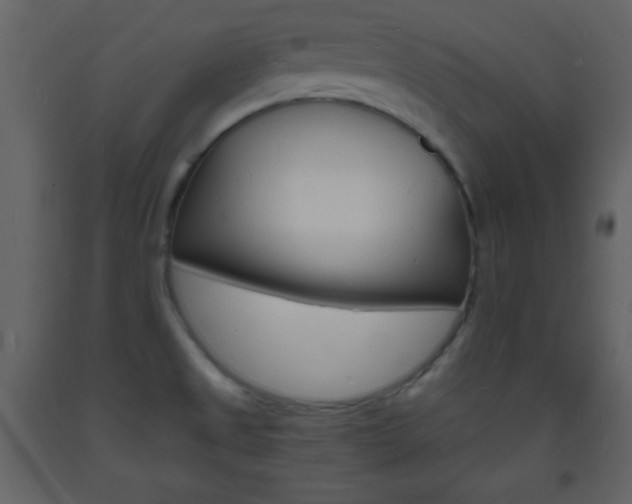 X0000094061525200710190920