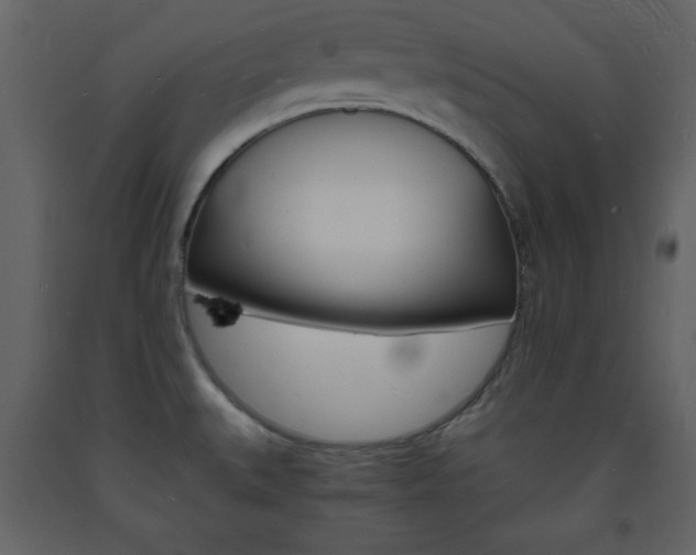 X0000094061527200710190920