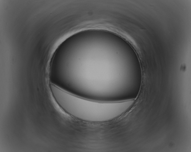 X0000094061528200710190920