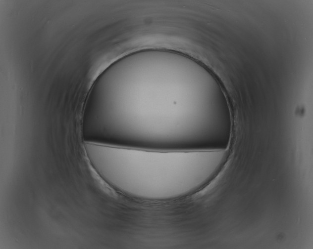 X0000094061529200710190920