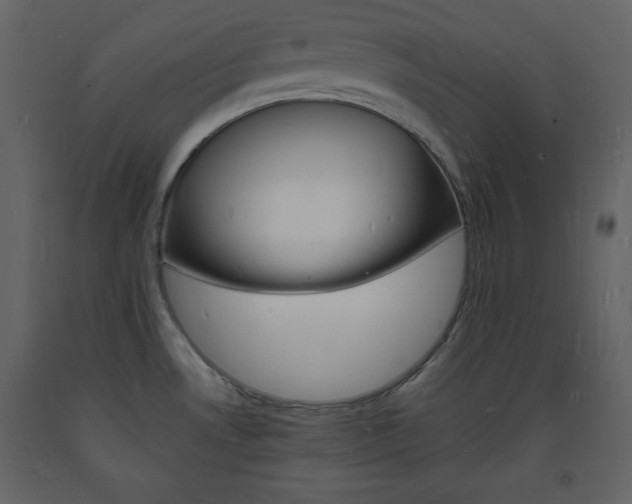 X0000094061530200710190920