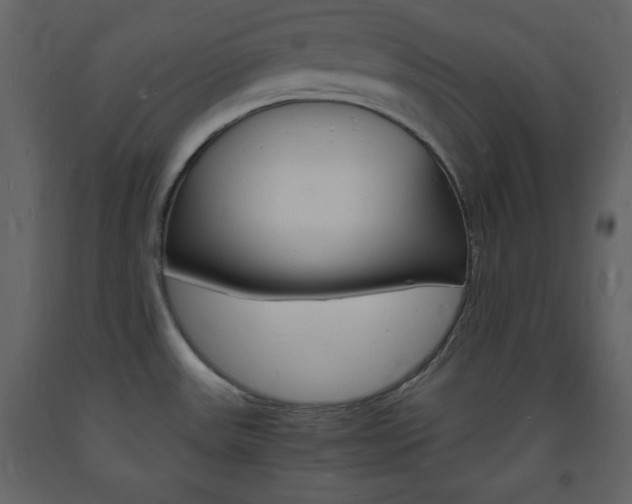X0000094061531200710190920