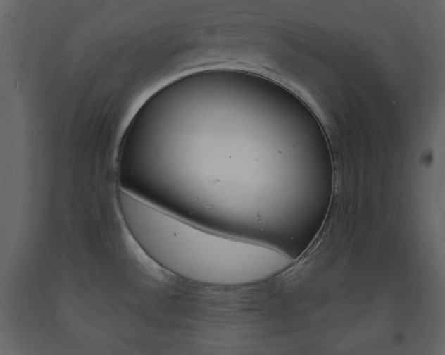X0000094061532200710190920