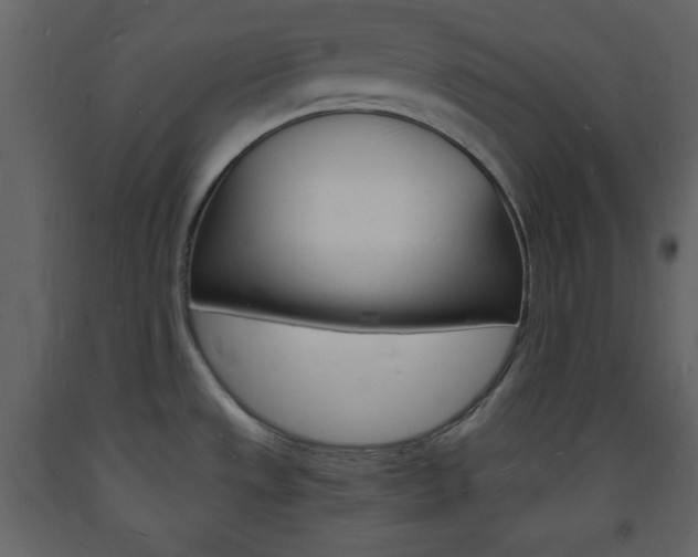 X0000094061533200710190921