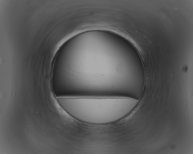 X0000094061534200710190921