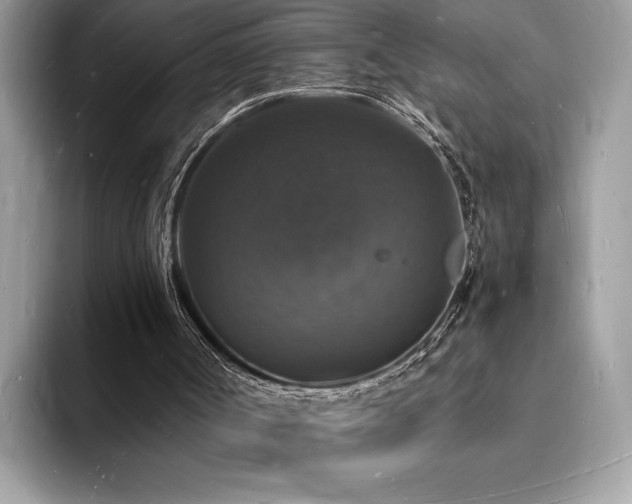 X0000094060002200710191110